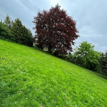 Einzelzimmer Nr4 Haigerloch Exterior foto